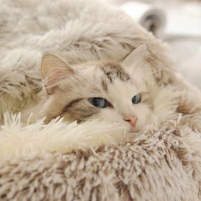 FurCo™ Fluffy Plush Cat Bed