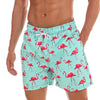 Gliders™ Men's Swimming Shorts