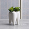 HomeQuill™ Ceramic Tooth Plant Pot